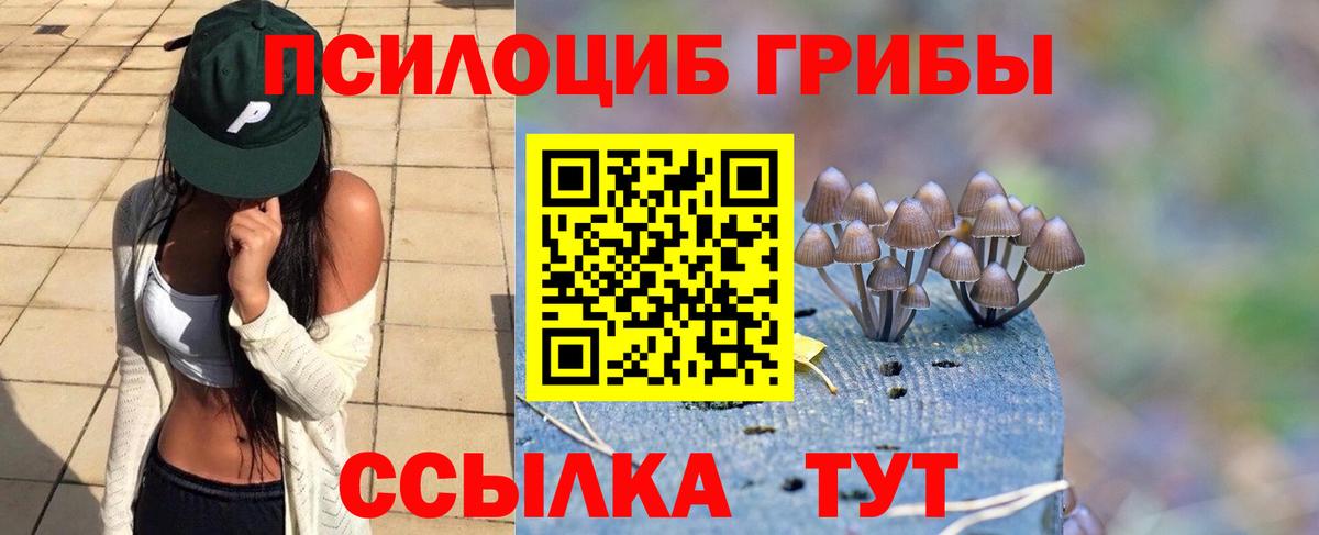 Азов  Галлюциногенные грибы GOLDEN TEACHER  Вход с VPN 