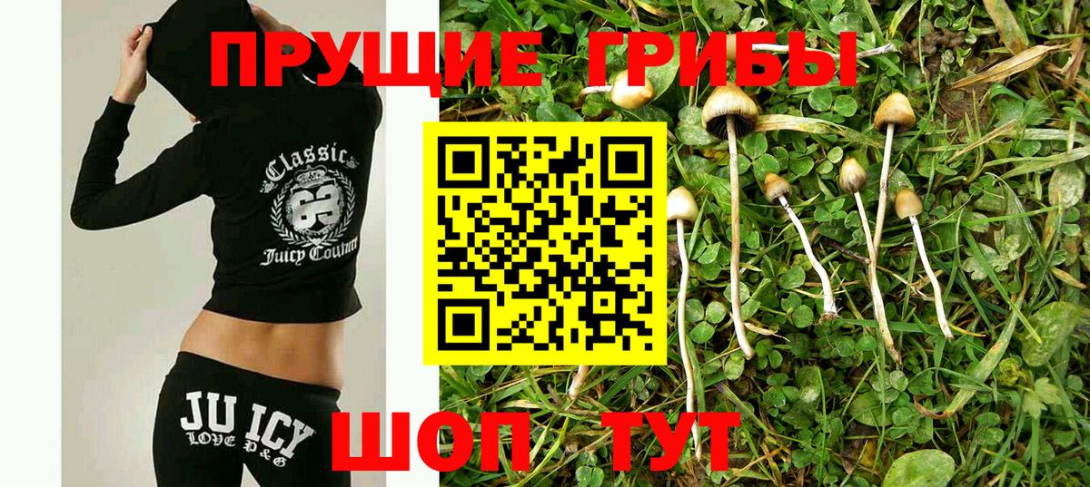 Галлюциногенные грибы Psilocybine cubensis Азов